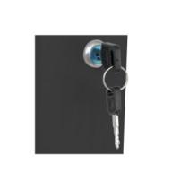 Szafa wisząca 12U 60/60 szyba